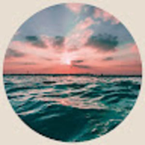 Meet your Posher, Addison